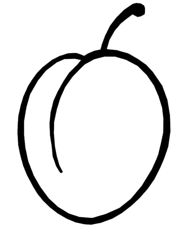 Контур сливы