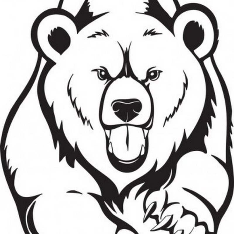 Медведь векторное изображение