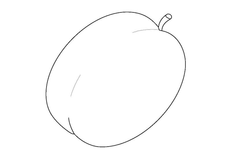 Абрикос раскраска