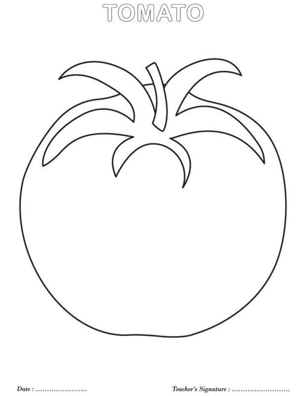 Помидор для раскрашивания для детей