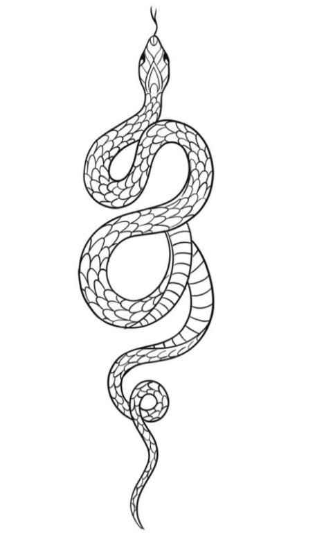 Маленькие змейки тату эскиз