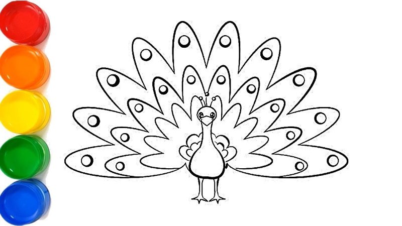 Павлин раскраска для детей