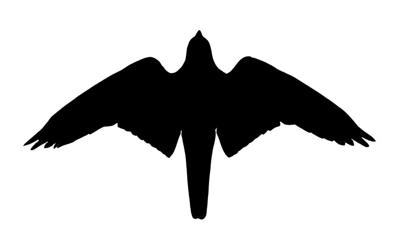 Сокол силуэт