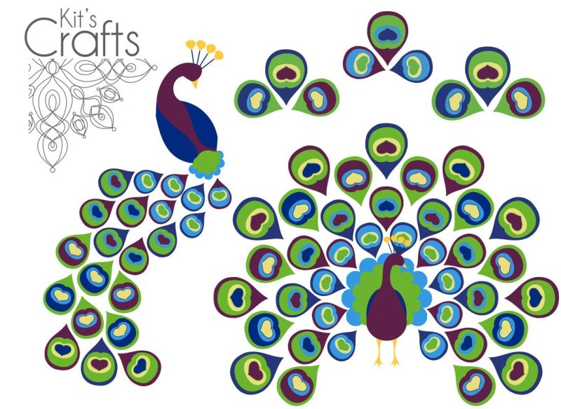 Павлин аппликация для детей