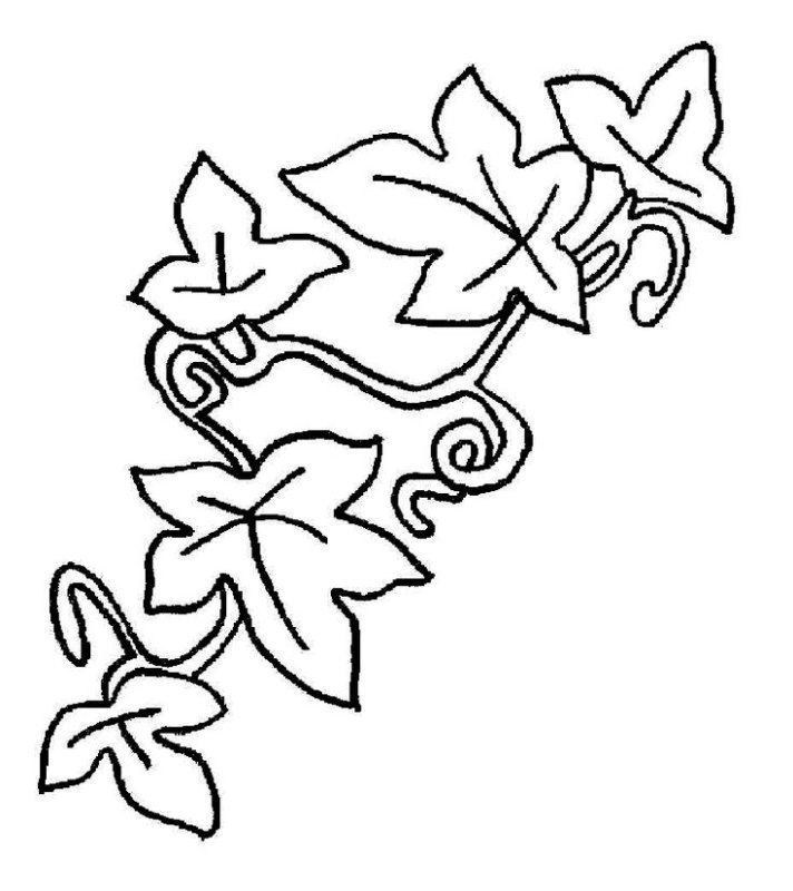 Трафарет "цветы"