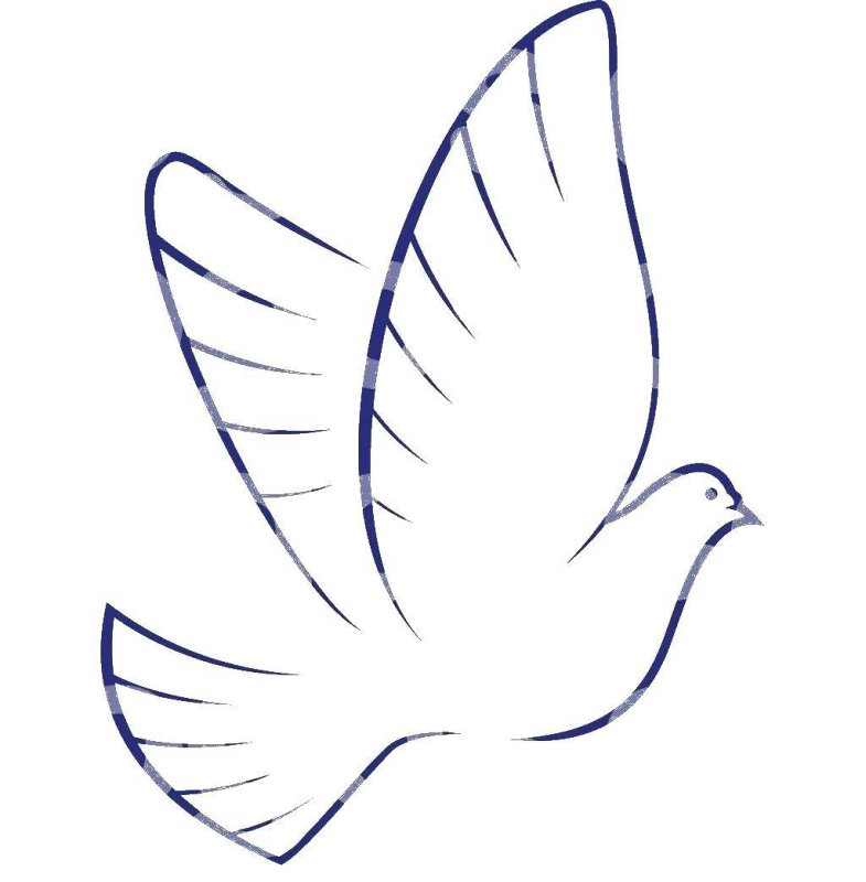 Голубь трафарет