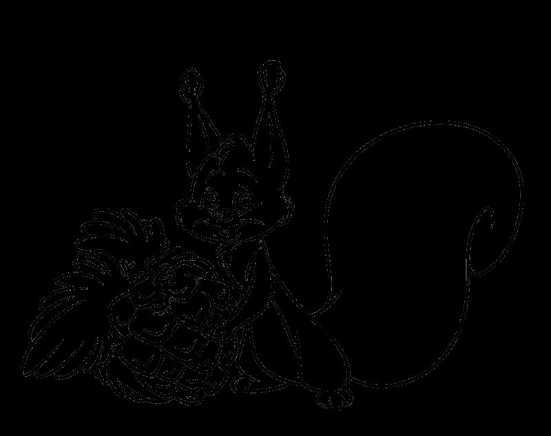 Белочка картинка для детей раскраска