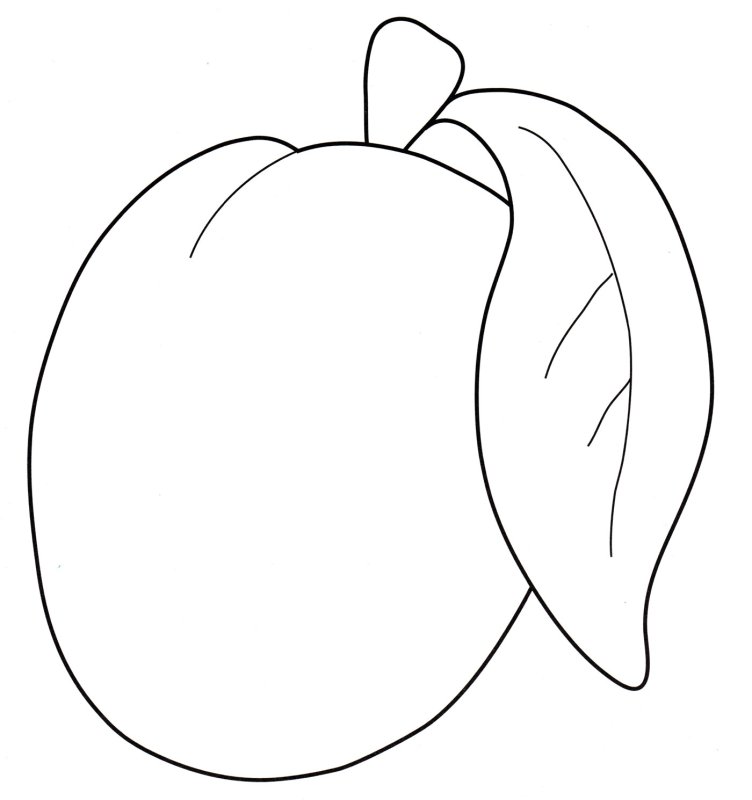 Слива раскраска для детей