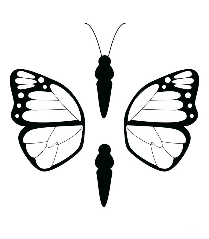 Трафареты бабочки