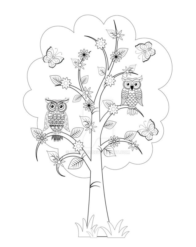 Сова на дереве трафарет