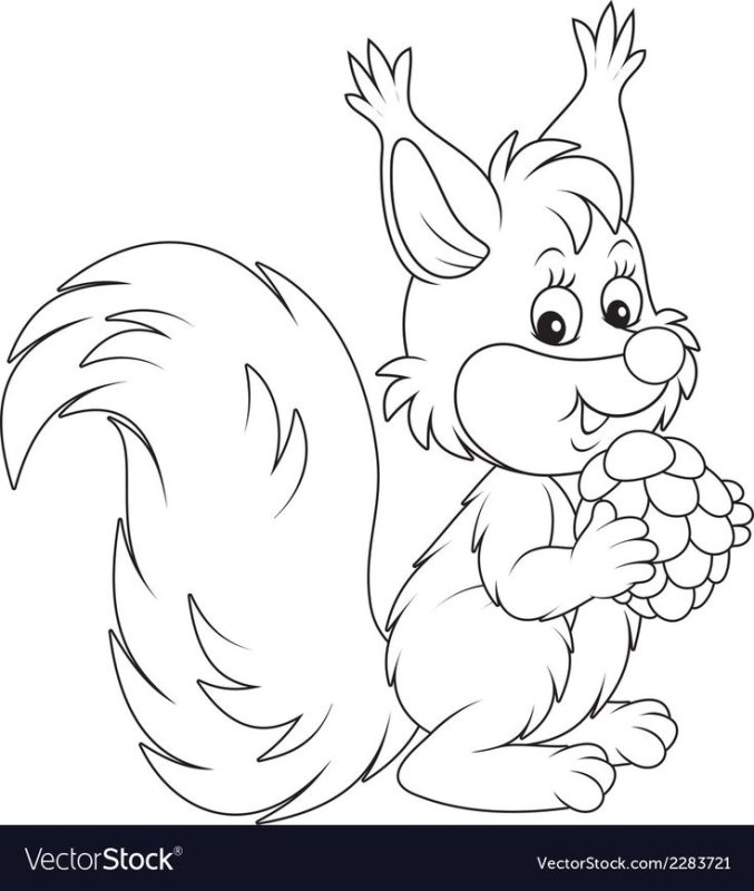 Белка с орешками раскраска для детей