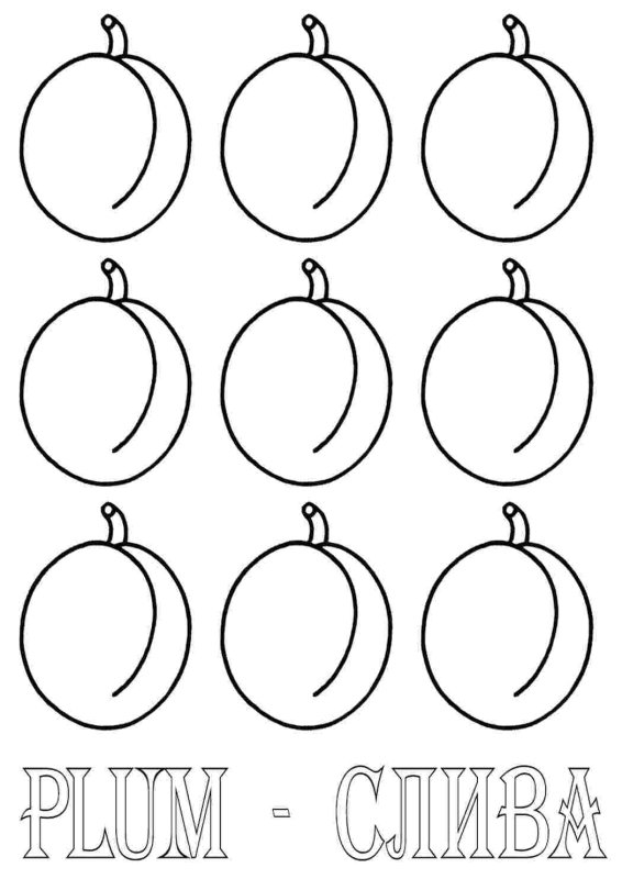 Слива рисунок для детей раскраска