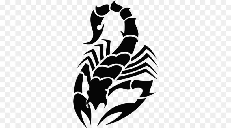 Скорпион тату эскиз