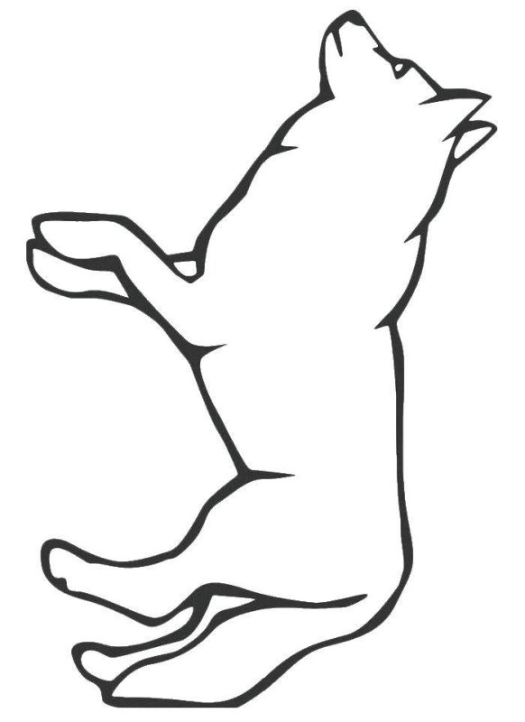 Силуэт волка