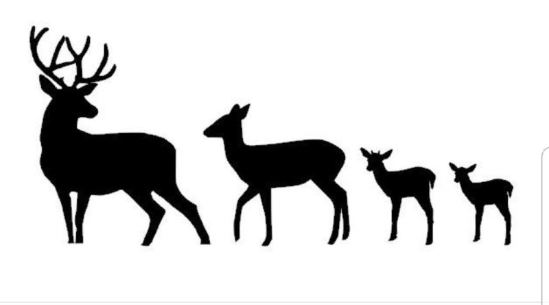 Силуэт оленя