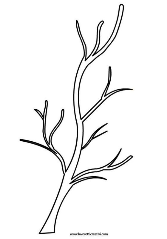 Ветка раскраска