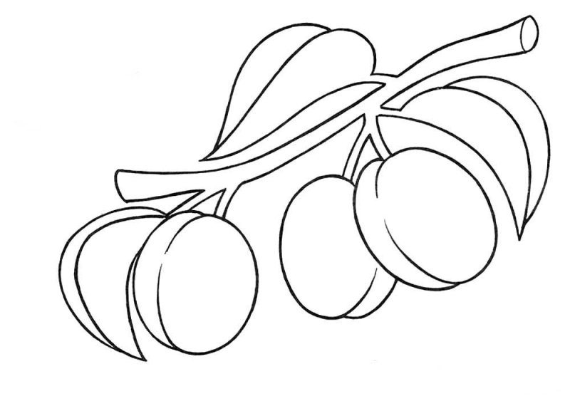 Фрукты. Раскраска для малышей