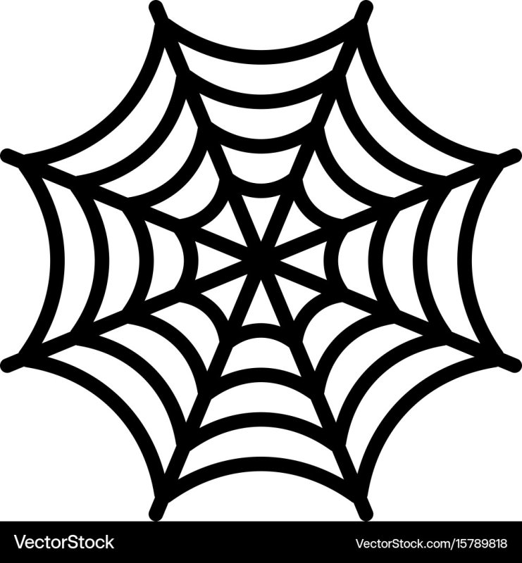 Паутина на белом фоне