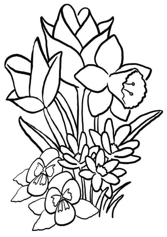 Растения клумбы раскраска