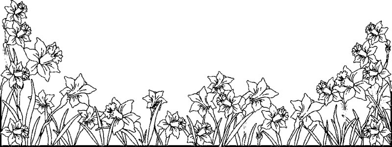 Цветы. Раскраска