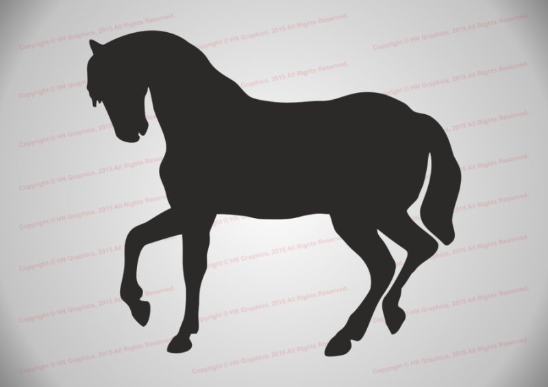Силуэт лошади