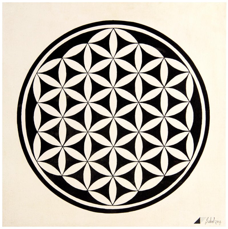 Мандала цветок жизни