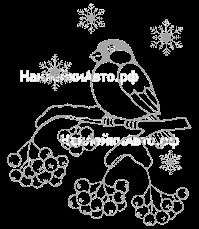 Раскраска птицы Снегирь