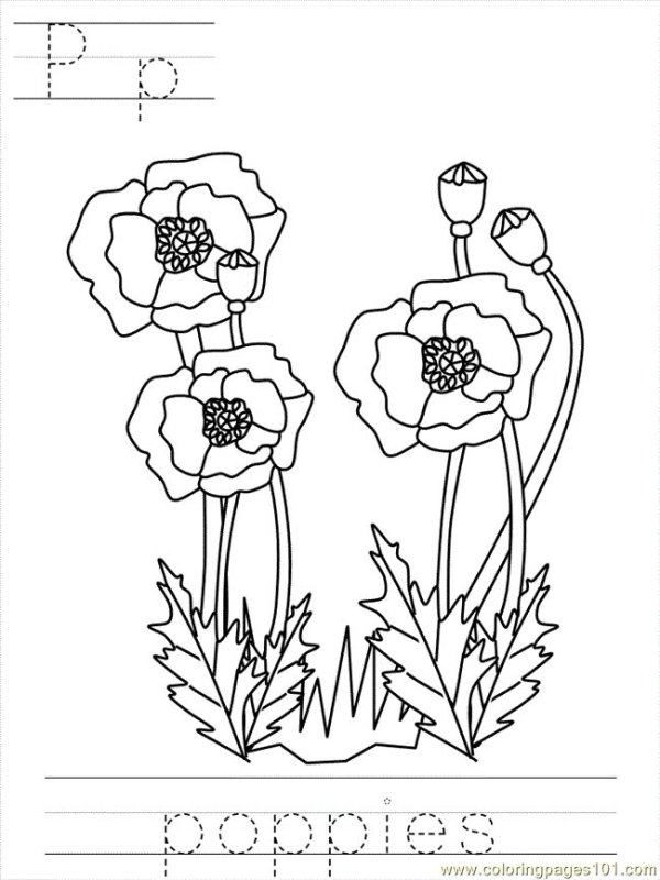 Цветы. Раскраска