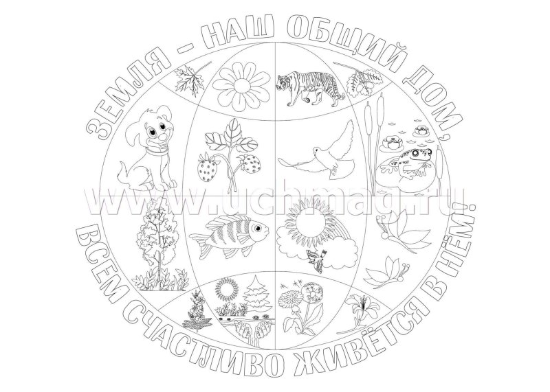 Экология раскраска