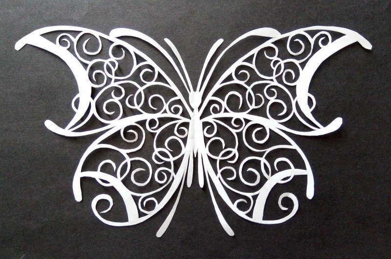 Ажурные бабочки для вырезания