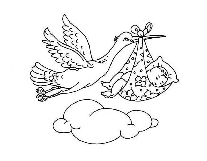 Аист с малышом раскраска