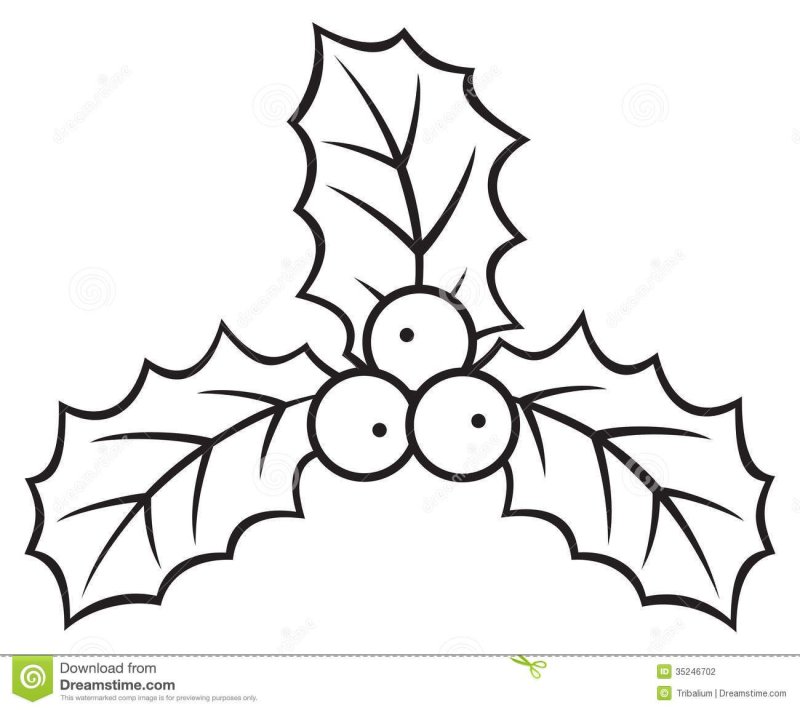 Лист омелы трафарет