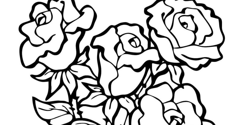 Букет раскраска