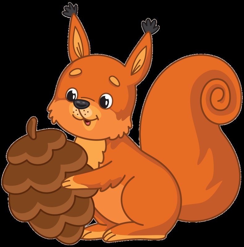Белка рисунок