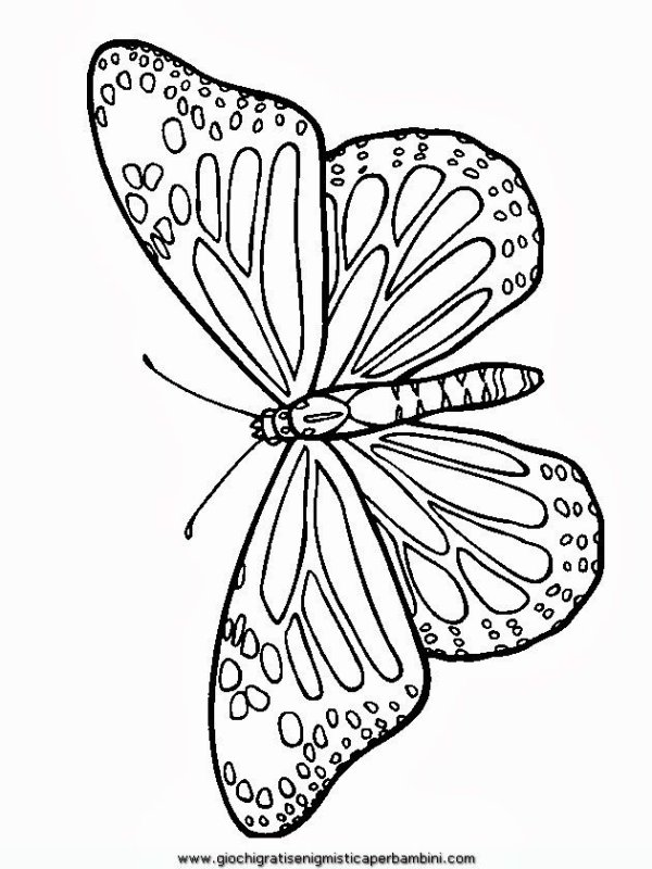 Трафареты стрекоз и бабочек