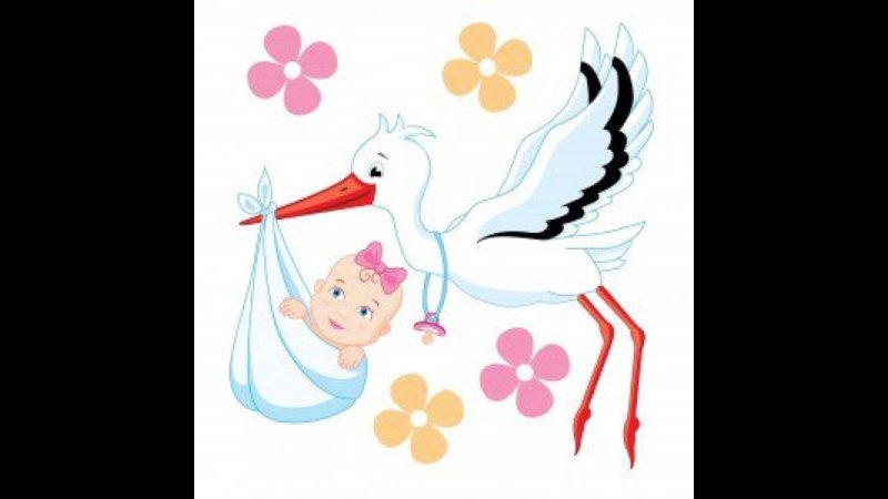 Аист с новорожденным