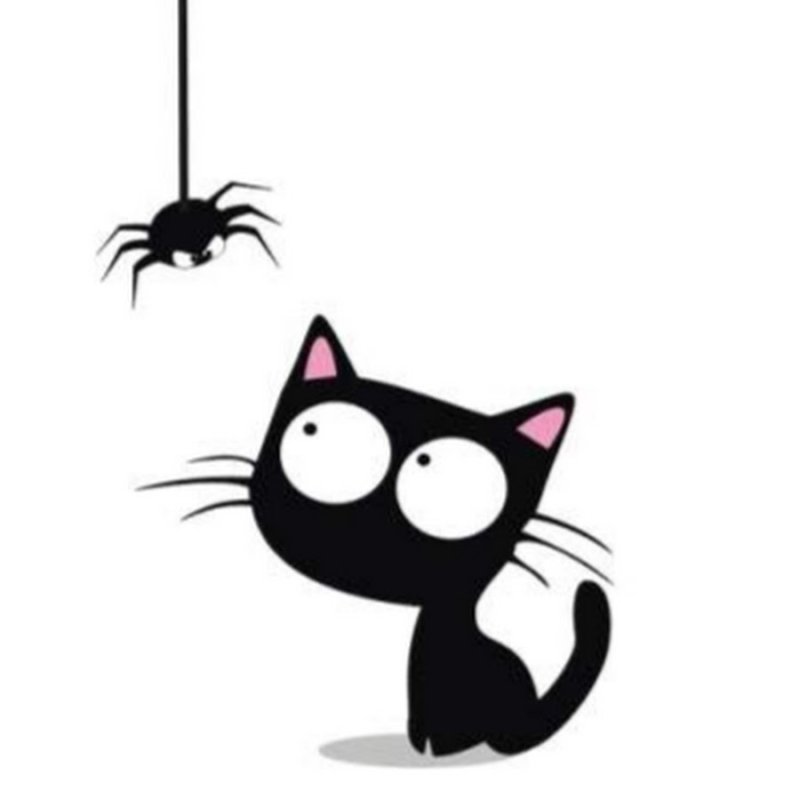 Кот из угла