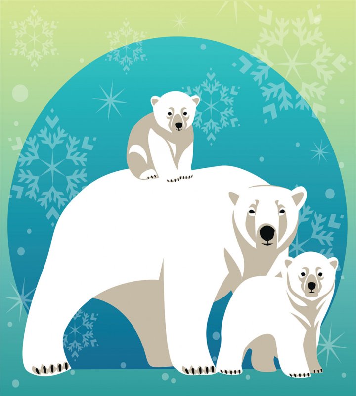 Семья белых медведей