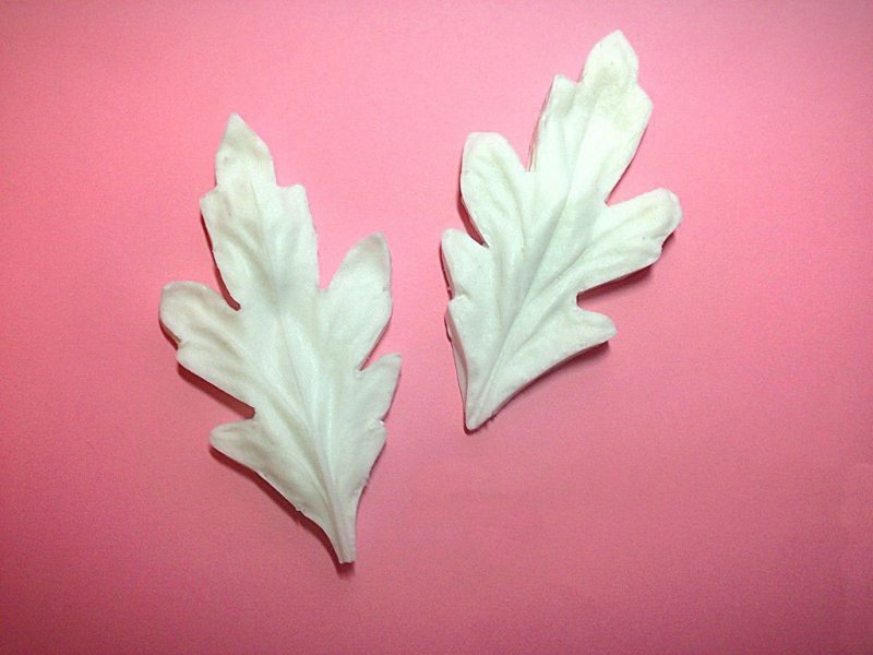 Листья хризантемы