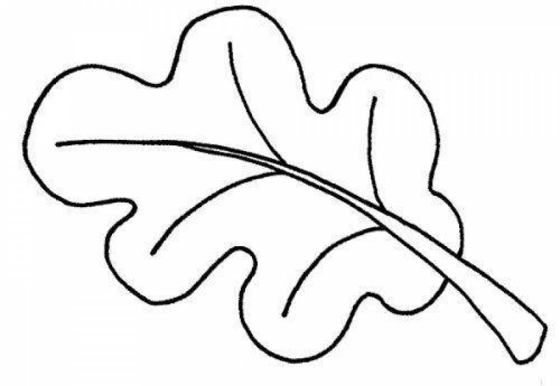 Лист дуба раскраска