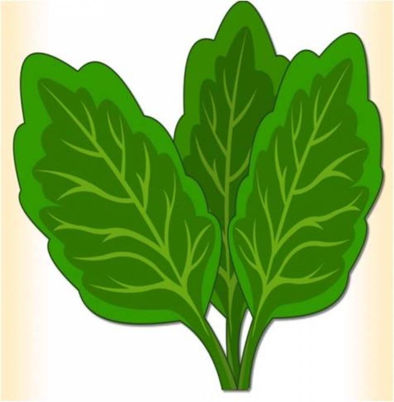 Репка вершки