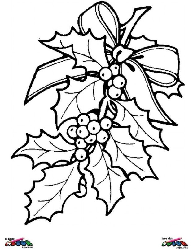 Остролист трафарет