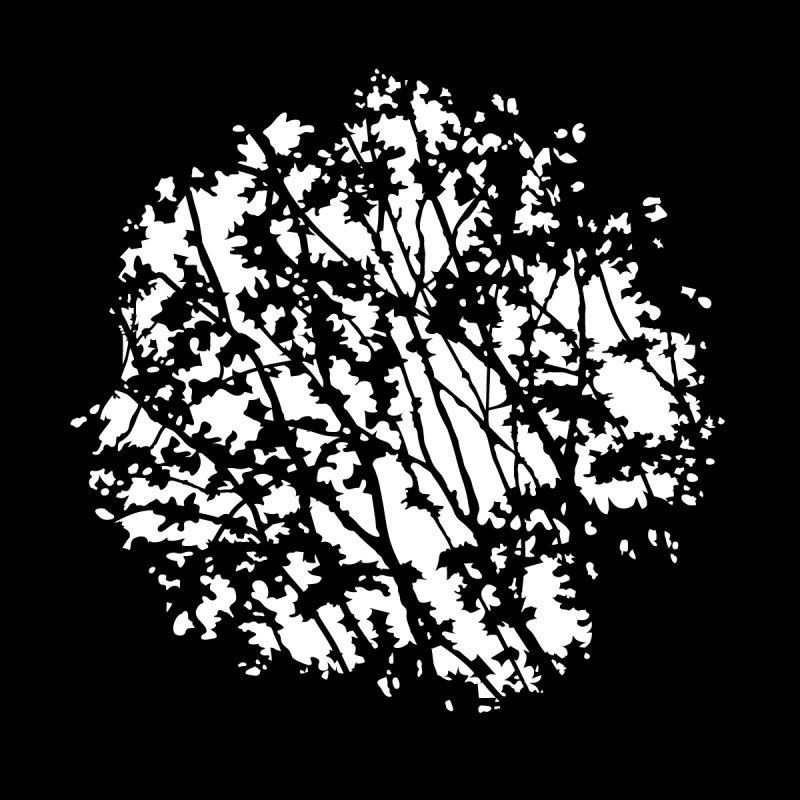 Гобо дерево