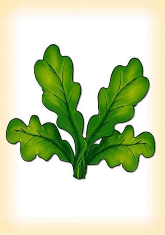 Листики Репки