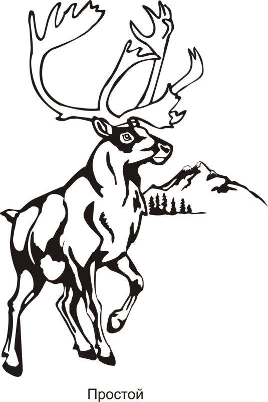 Трафарет для выжигания олень