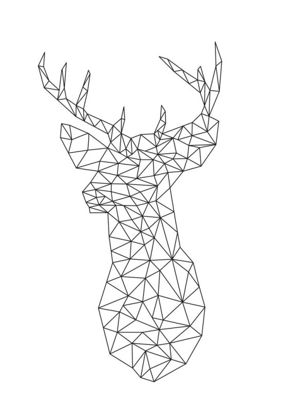 Геометрические рисунки животных