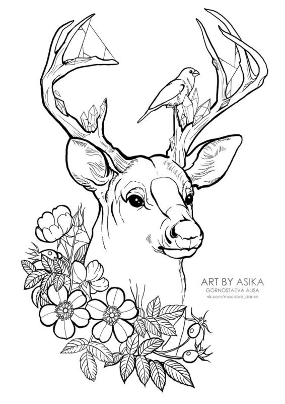 Олень раскраска