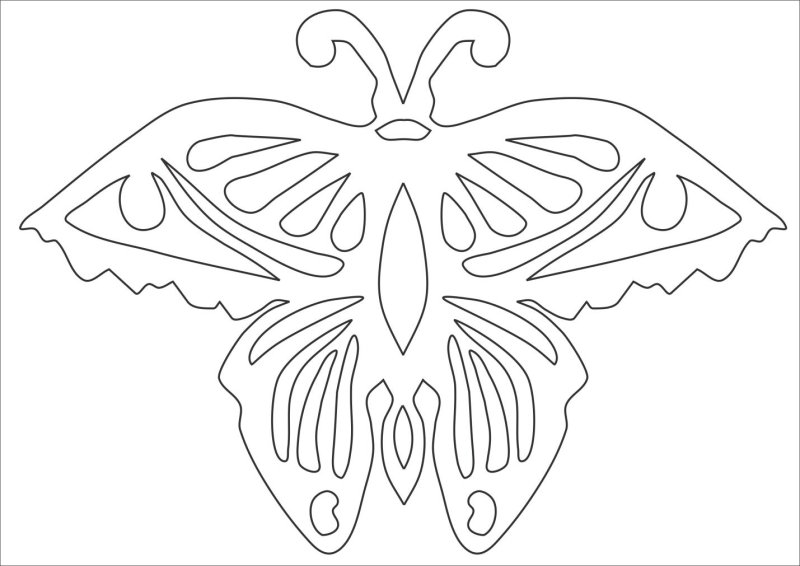 Бабочка шаблон для вырезания