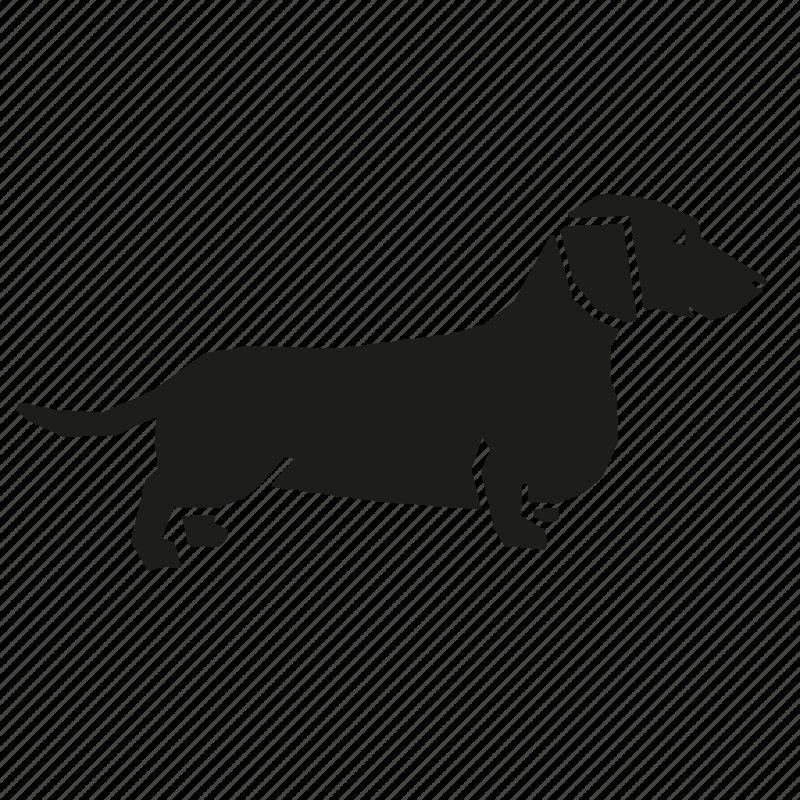 Такса стилизация