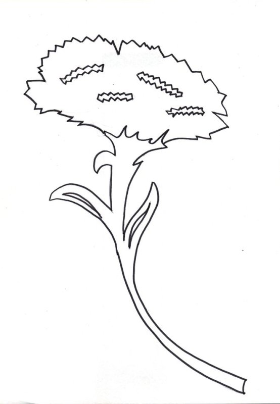 Цветы гвоздики для вырезания